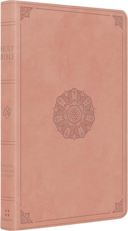 9798874903527 Thinline Bible