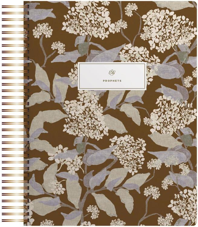 9798874903701 Spiral Bound Journaling Bible Prophets Cover Artwork By Lulie Wallace