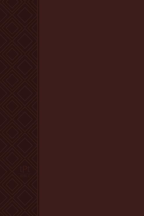 9781424561407 New Testament 2020 Edition With Psalms Proverbs And Song Of Songs