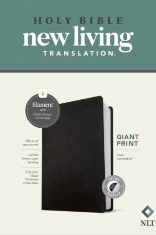 9781496482310 Giant Print Bible Filament Enabled Edition