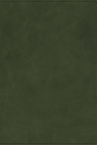 9798384518693 She Reads Truth Bible Holman Handcrafted Collection