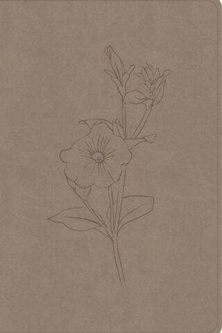 9798384540731 Personal Size Giant Print Bible Digital Study Edition