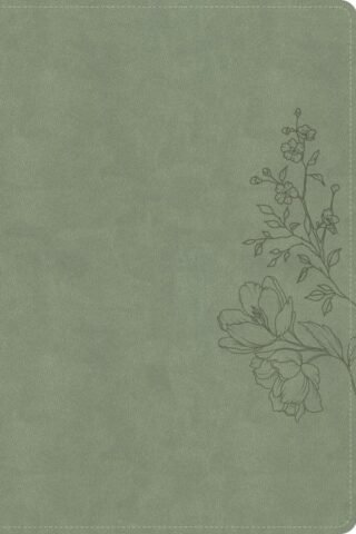 9798384540762 Large Print Thinline Bible Digital Study Edition